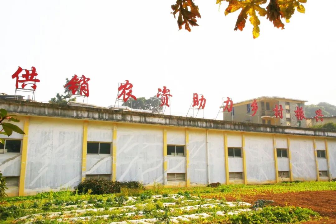 报告！长乐“粮草”已备足
