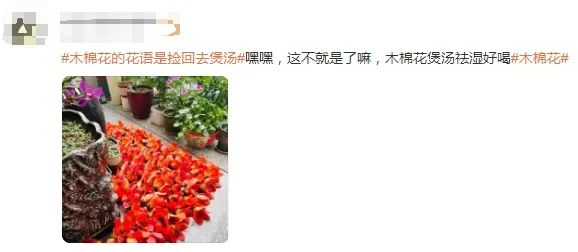 不要捡！不要吃！长乐街头已出现
