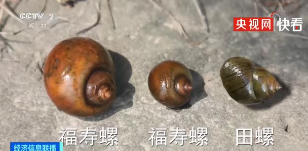粉色预警！长乐人千万别碰