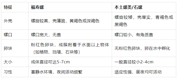 粉色预警！长乐人千万别碰