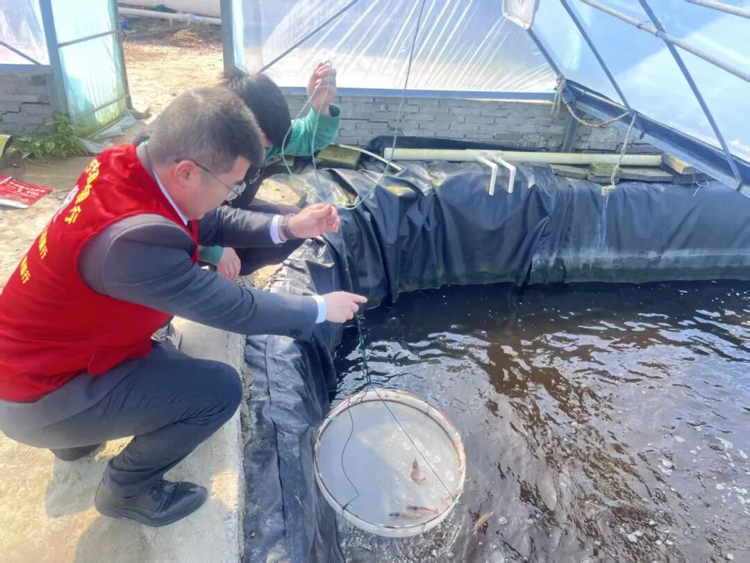 整村授信“贷”动新春，600余户红榜客户获金融活水润泽