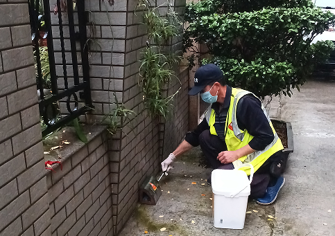 注意！全区灭鼠活动4月11日启动，请看好孩子