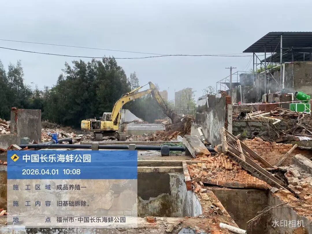 守护“海洋珍馐”！长乐为海蚌（西施舌）建“基因库”与“育苗基地”