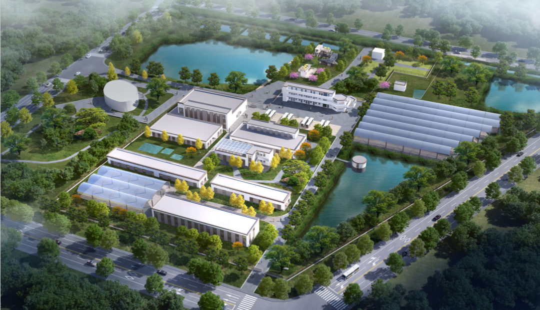 守护“海洋珍馐”！长乐为海蚌（西施舌）建“基因库”与“育苗基地”