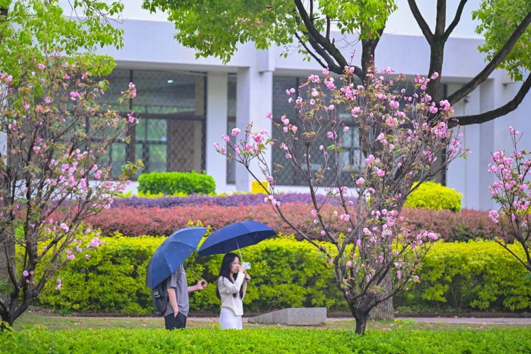 春日限定，“组团出道”！速来围观，就在长乐......