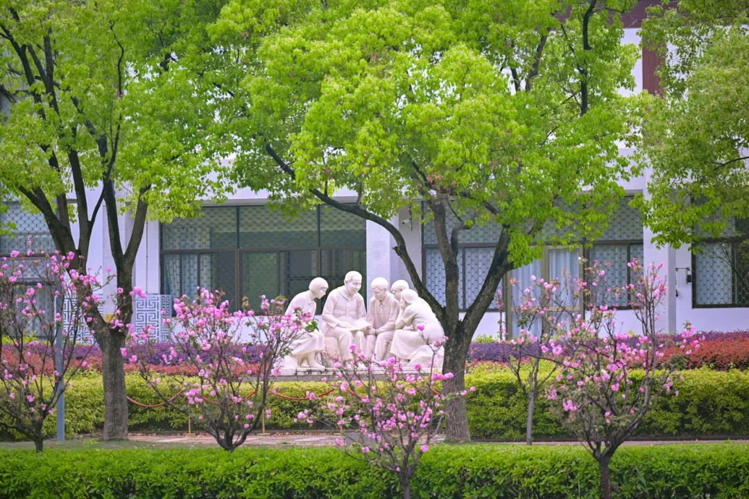 春日限定，“组团出道”！速来围观，就在长乐......