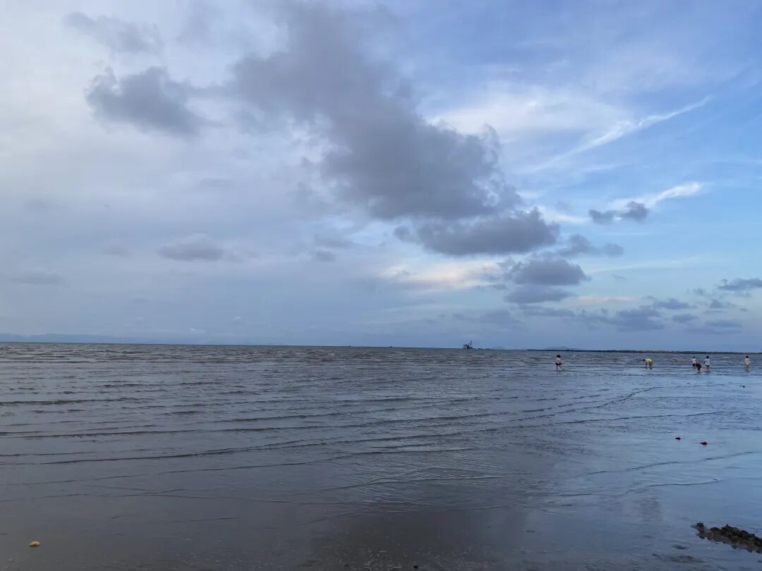 【网络中国节•中秋】假期新体验！乘滨海快线“沿路”寻鸟，达人亲授点位→