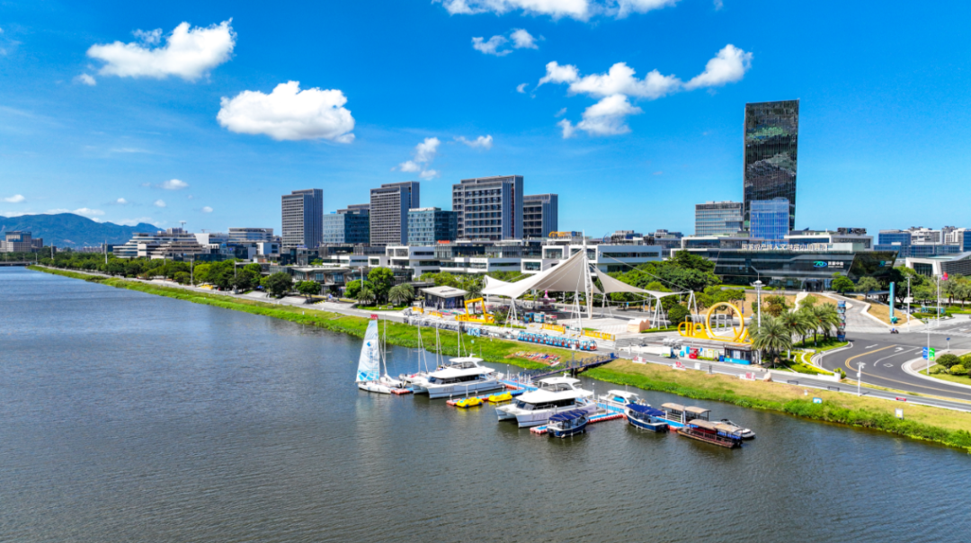 【网络中国节•中秋】假期新体验！乘滨海快线“沿路”寻鸟，达人亲授点位→