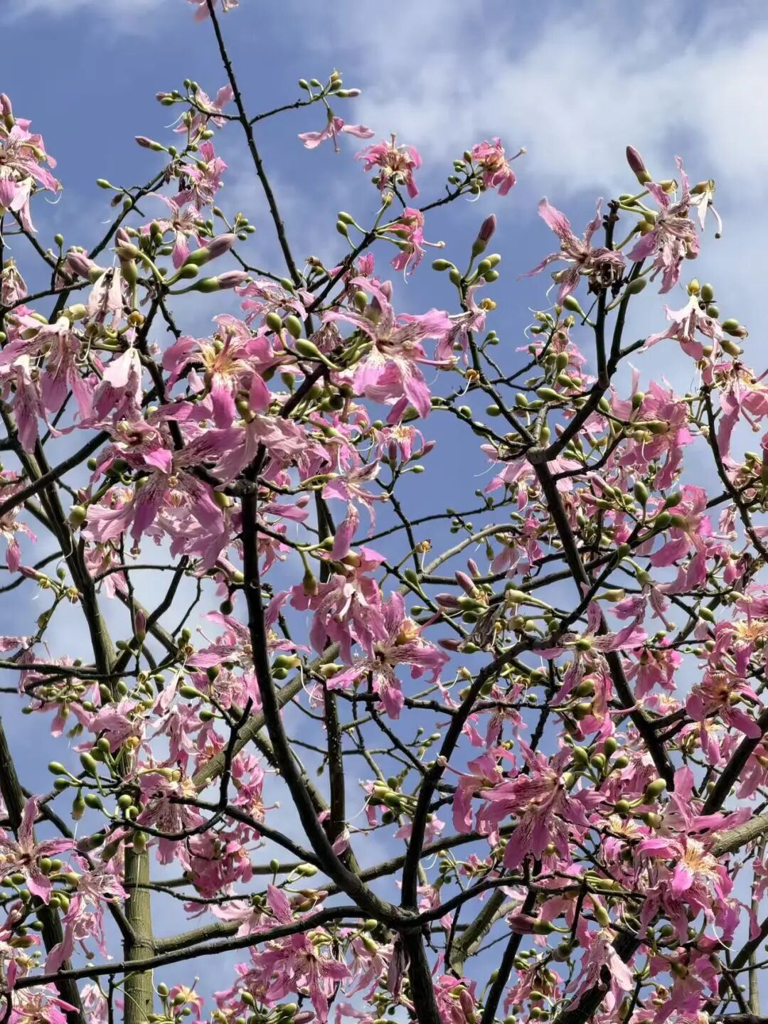 超美！福州新区(长乐区)这两处地方，你拍了没有