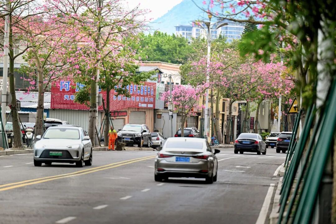 超美！福州新区(长乐区)这两处地方，你拍了没有