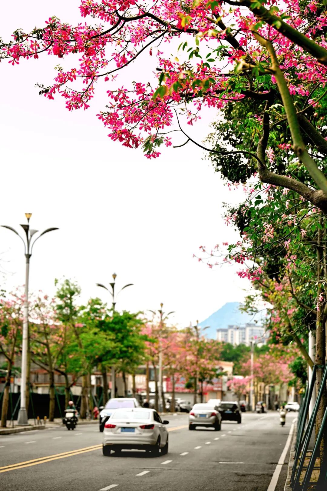 超美！福州新区(长乐区)这两处地方，你拍了没有