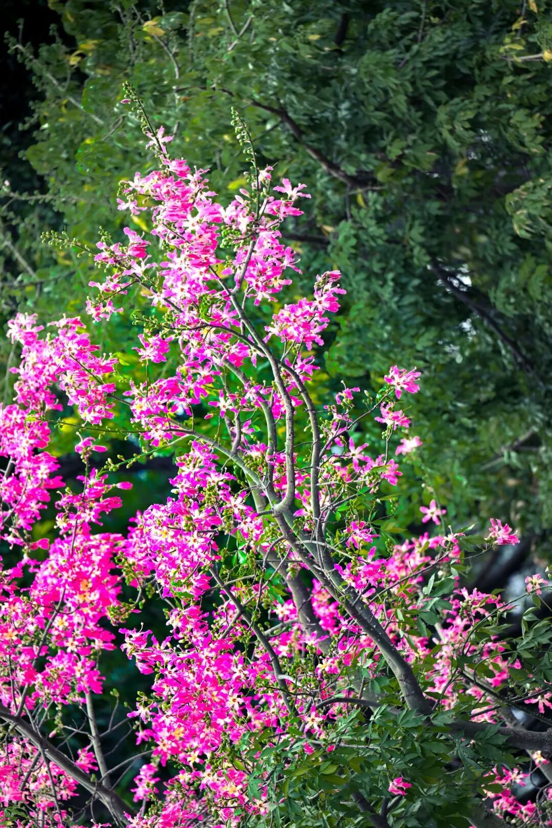 超美！福州新区(长乐区)这两处地方，你拍了没有