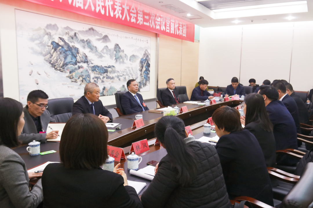张帆看望江田、营前代表团人大代表并参加讨论