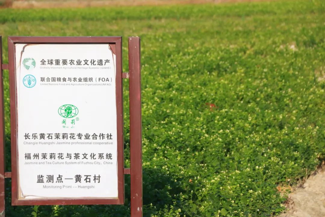 “00后”接棒！这一件事，长乐这家人传承了五代！