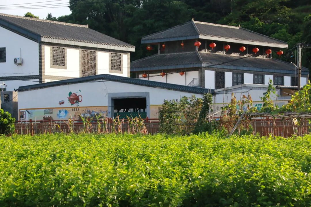 “00后”接棒！这一件事，长乐这家人传承了五代！