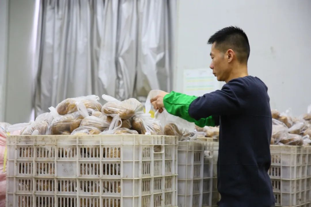 日发300多吨！长乐雪美“南菜北运”采收忙