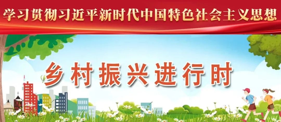 长乐深山藏“活化石茶”！一口喝下60年生态传奇！