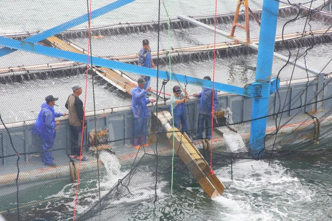 卖到“爆单”！住“深海豪宅”的鱼，如此豪横！
