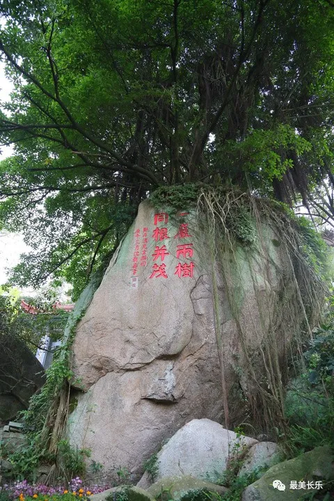 猴屿洞天岩：神妙奇幻 别有洞天