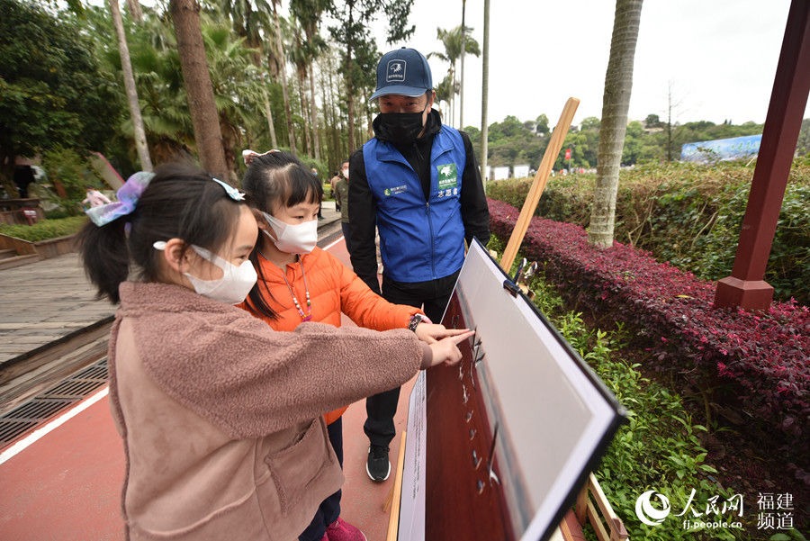 呵护鸟类 共建美好家园 福建迎来第三十八届爱鸟周