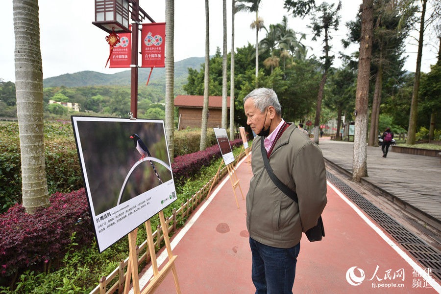 呵护鸟类 共建美好家园 福建迎来第三十八届爱鸟周