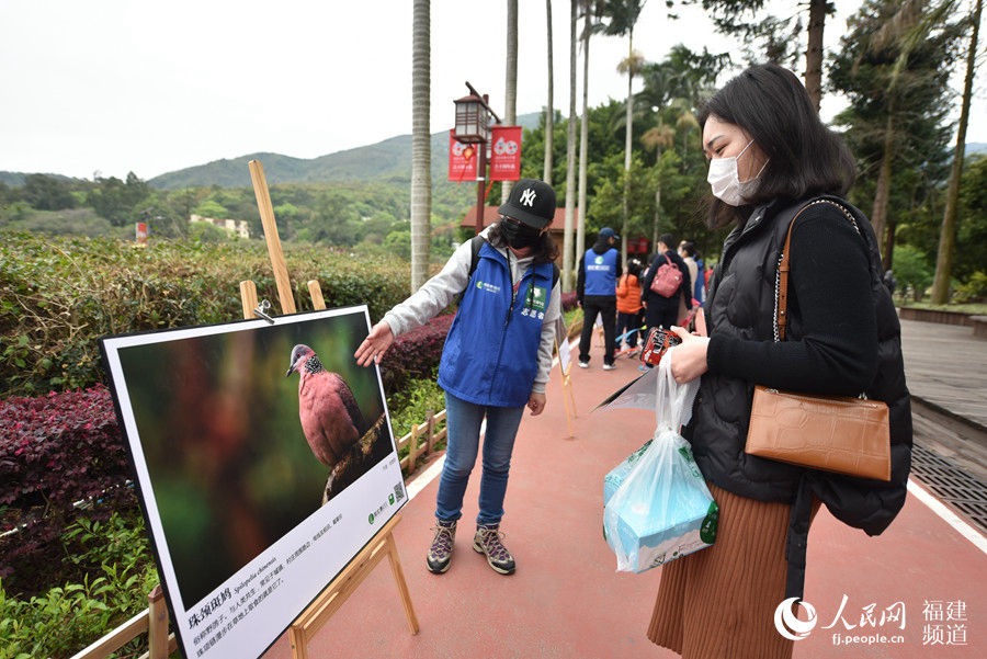 呵护鸟类 共建美好家园 福建迎来第三十八届爱鸟周