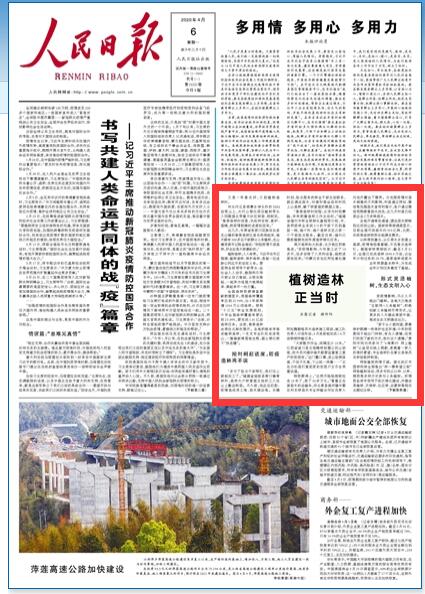 人民日报头版聚焦：福建等地积极推进植树造林工作