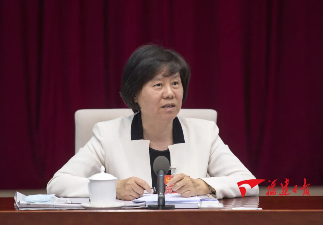 福建代表团分组审议民法典草案