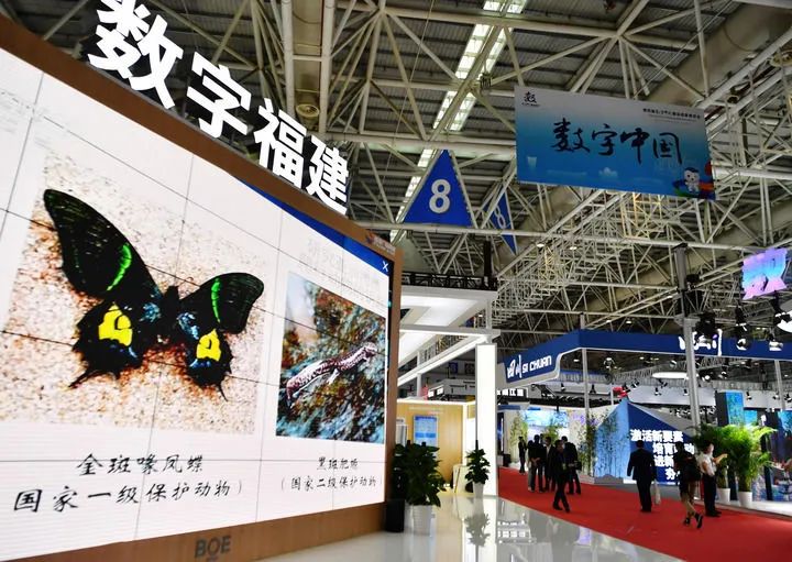 八闽大地踔厉奋发这一年：高质量启航新征程 全方位推动新超越