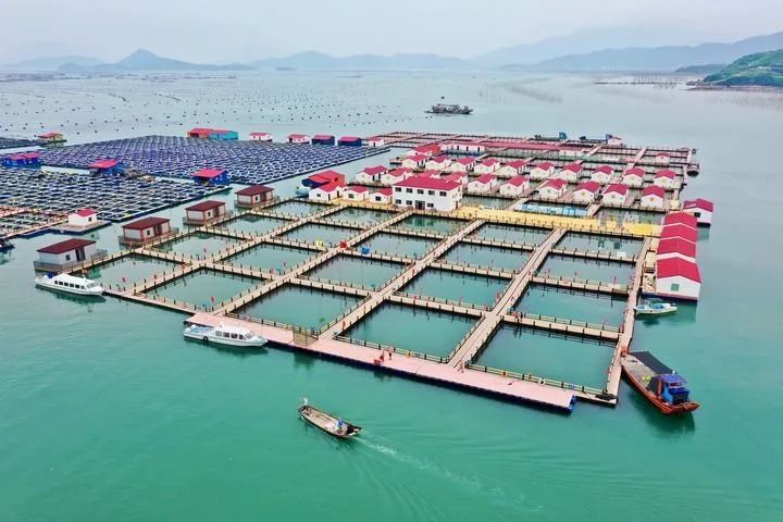 八闽大地踔厉奋发这一年：高质量启航新征程 全方位推动新超越