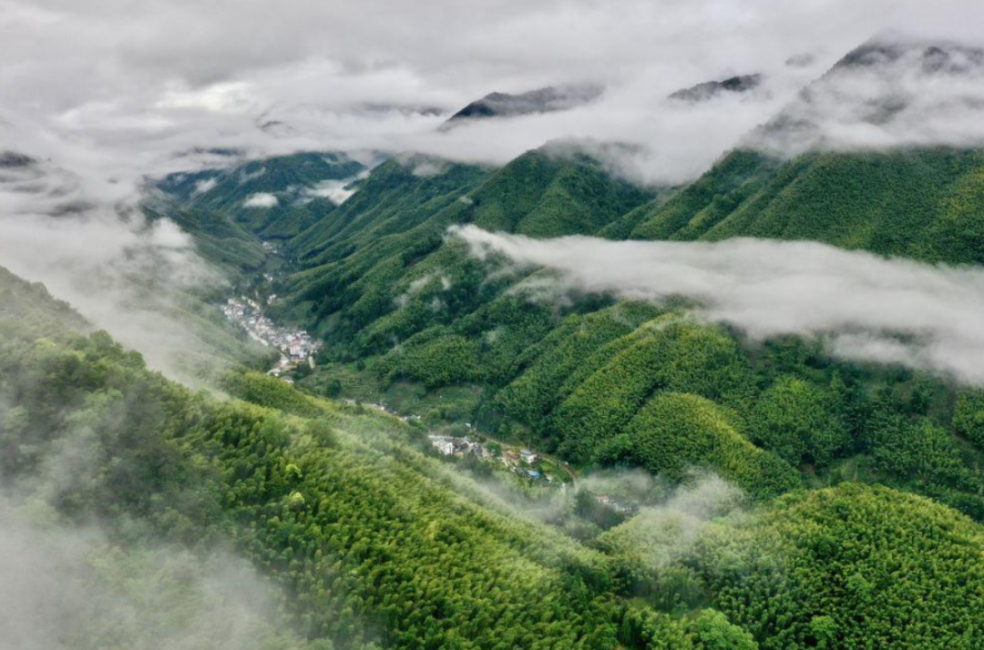 特写 | 让“福”文化和“美丽福建”名片更加亮丽