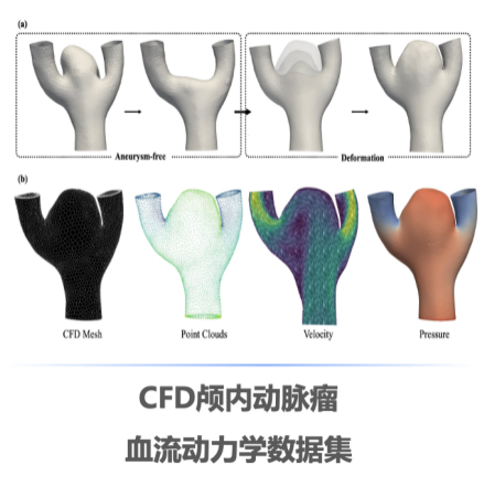 开放科学数据驱动创新，复旦大学联合上智院发布三项科学数据新基建