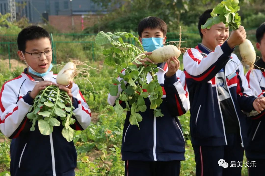 劳动实践基地“大丰收”，这个学校的做法亮了!