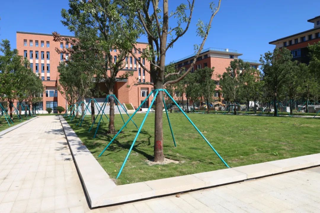 “小金人”+1，长乐这所学校斩获鲁班奖！