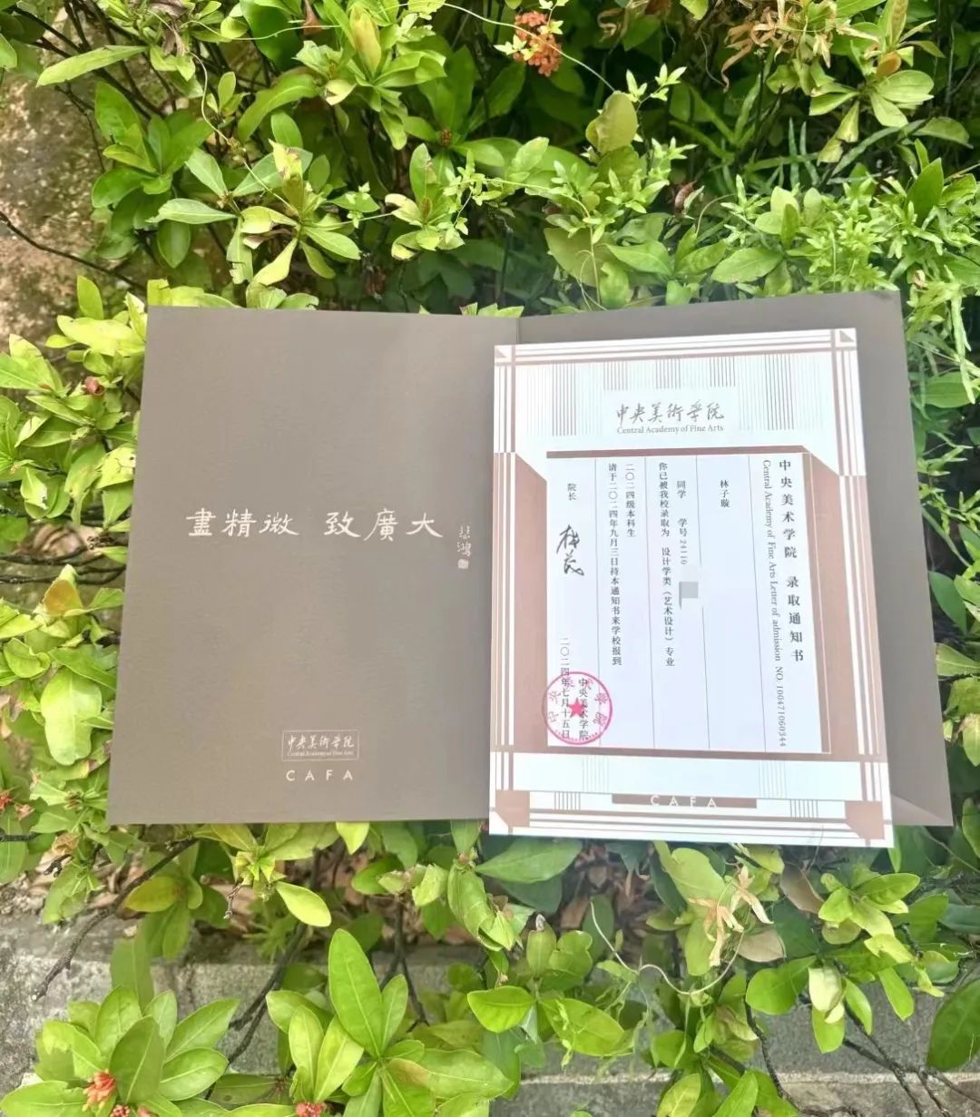 收到高考录取通知书，这些长乐学子说……