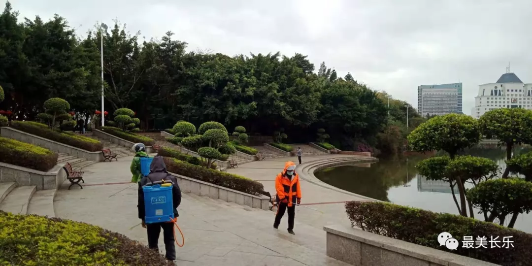 【网络中国节•元宵节】区园林中心全力以赴抗“疫”记