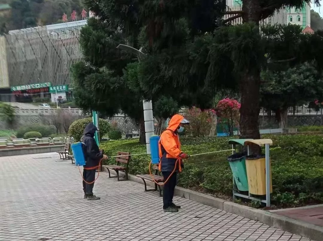【网络中国节•元宵节】区园林中心全力以赴抗“疫”记