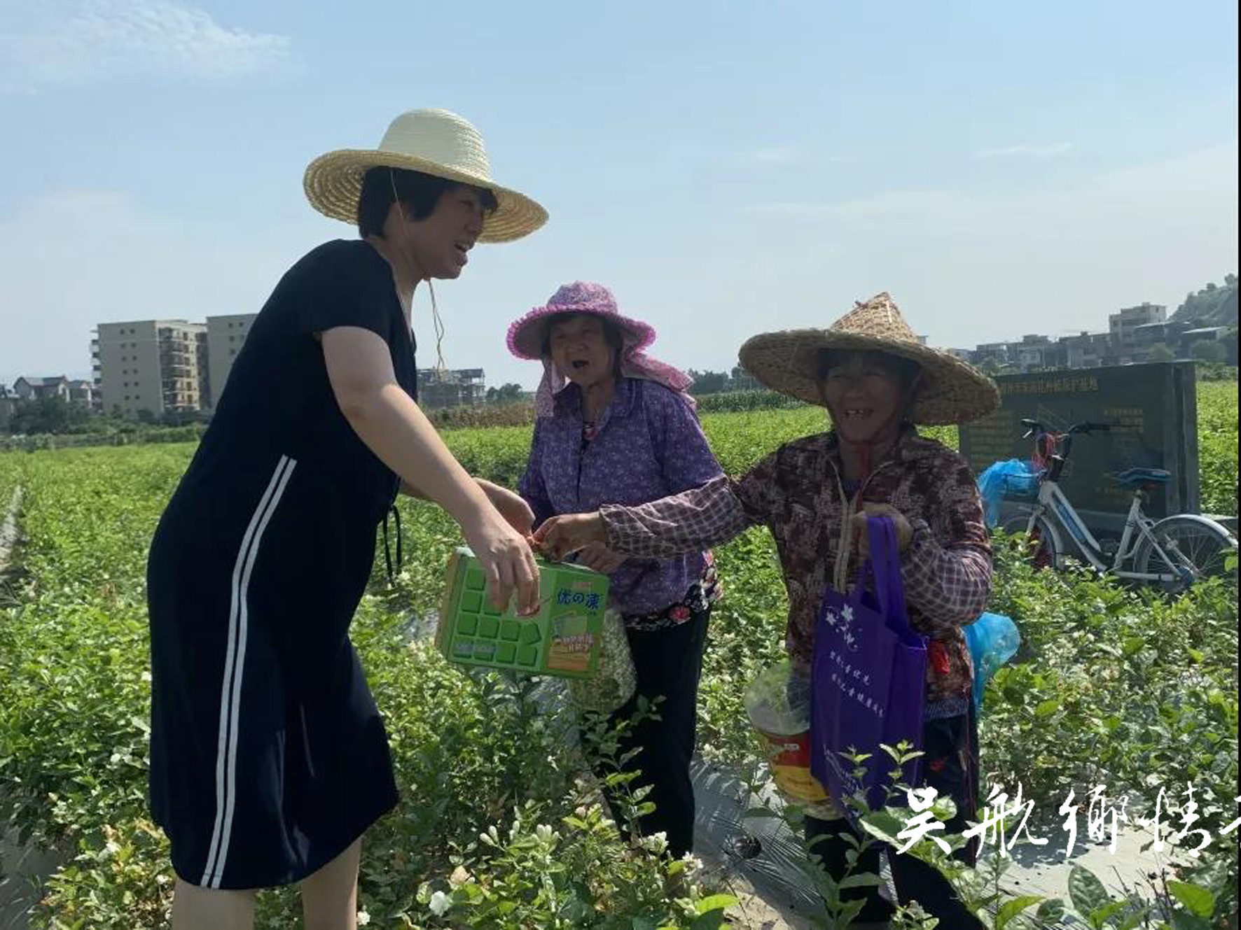 区妇联赴“双百双千”重点农业基地走访慰问