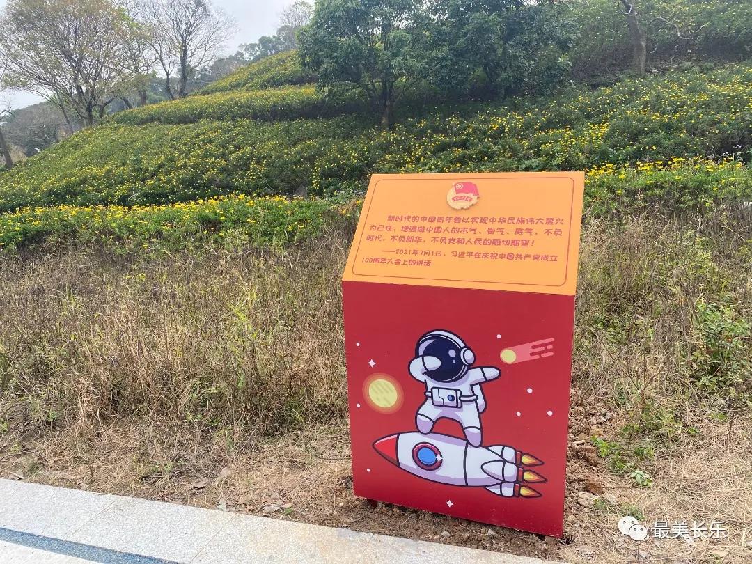 团区委：建设青春广场 推动青年工作