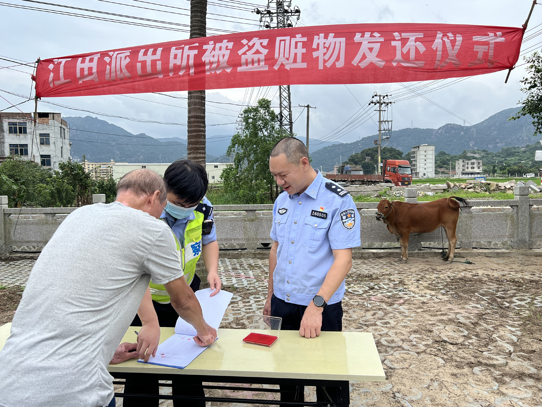 民警迅速破案 返还被盗耕牛