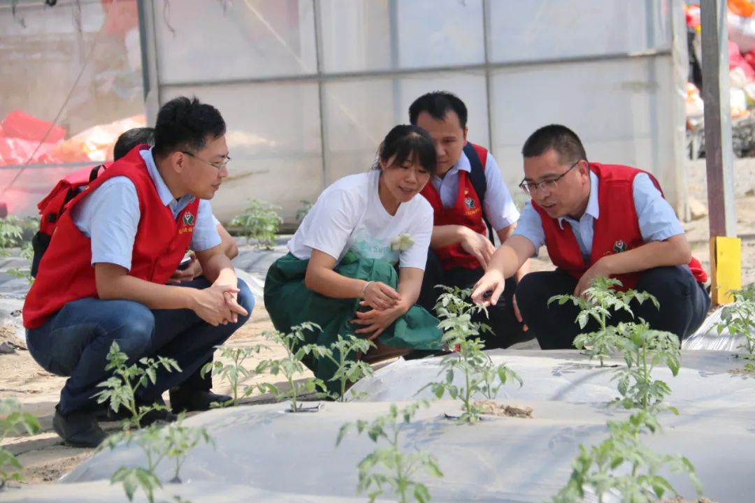 万名干部下基层：深入田间地头 破解农村金融难题