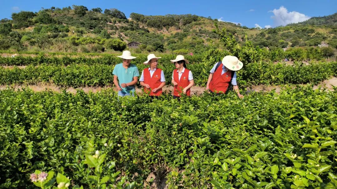 万名干部下基层：深入田间地头 破解农村金融难题