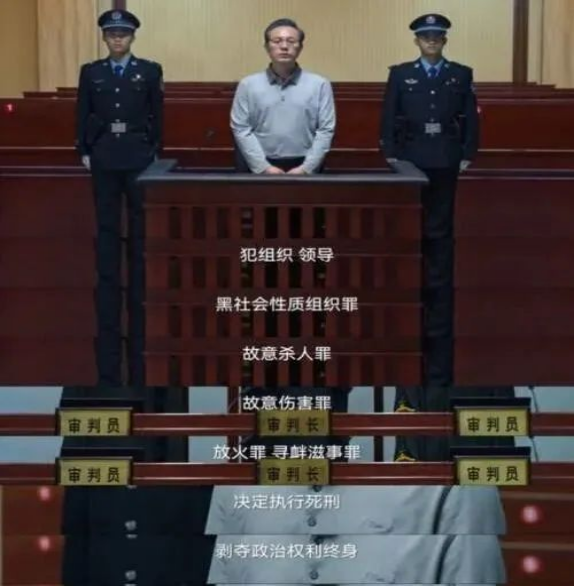 《狂飙》剧终后，来看看《中华人民共和国反有组织犯罪法》
