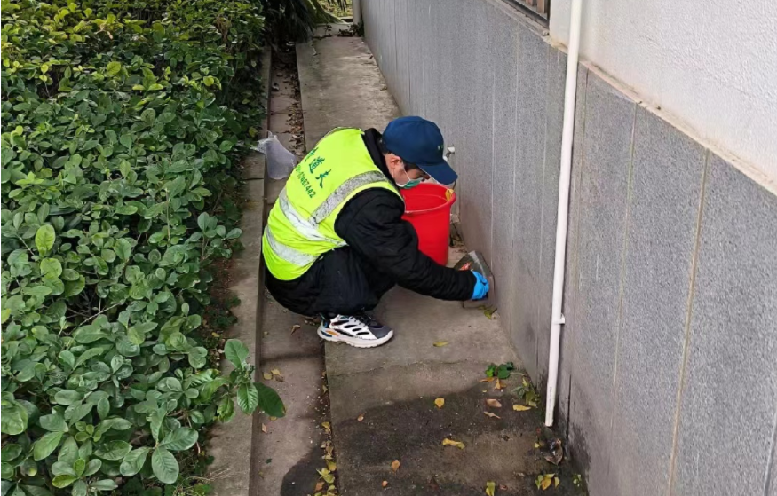 照看好家中小孩、老人，统一灭鼠活动开始了！