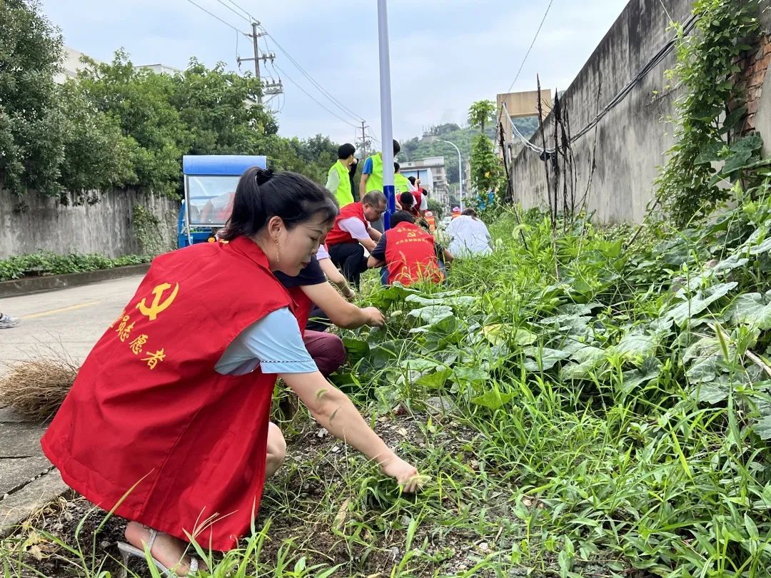 “提靓”家园环境！这个乡镇有一套……