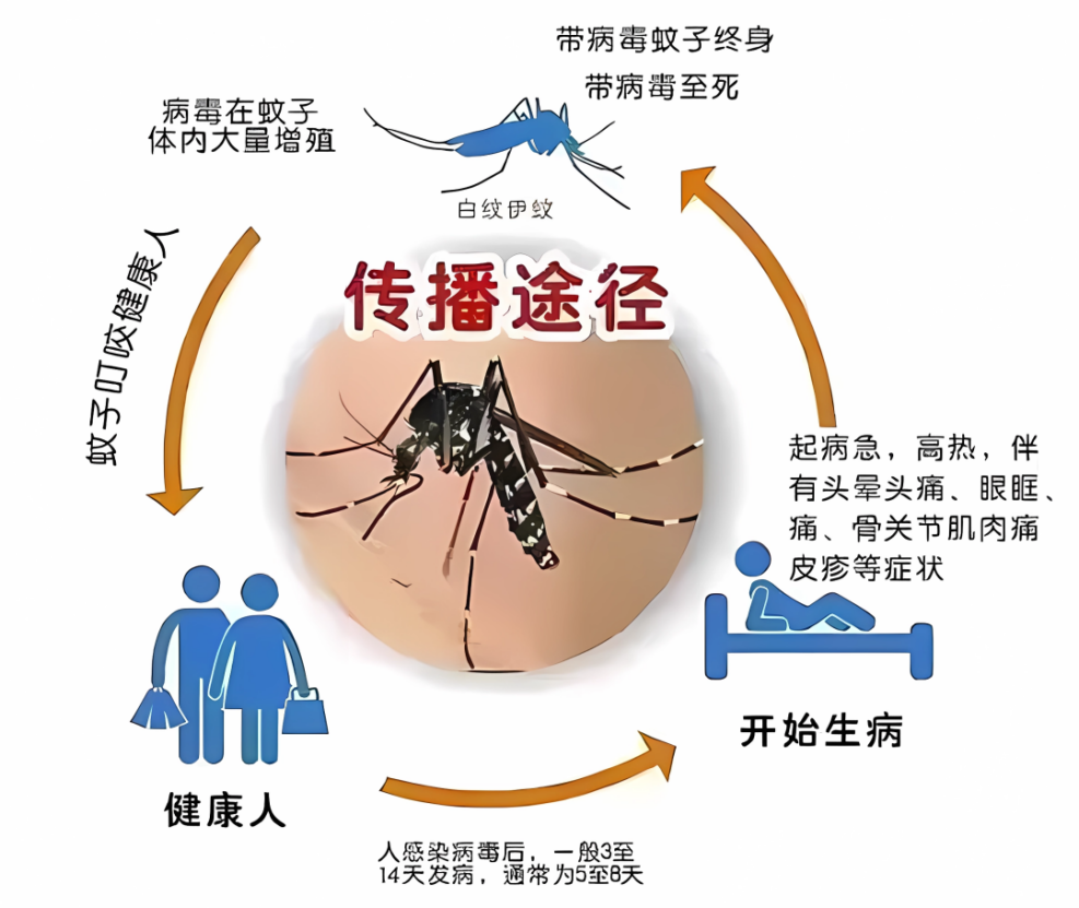 注意！长乐疾控特别提醒！