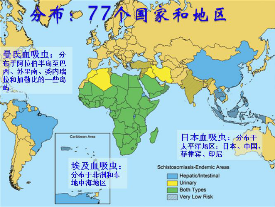 通过水传播！长乐疾控特别提醒！