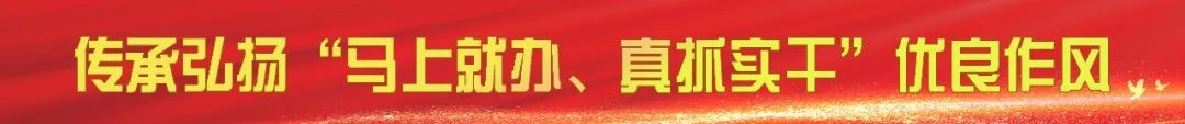 从“能办”到“易办”，从“通办”到“好办”，这里点赞不断！