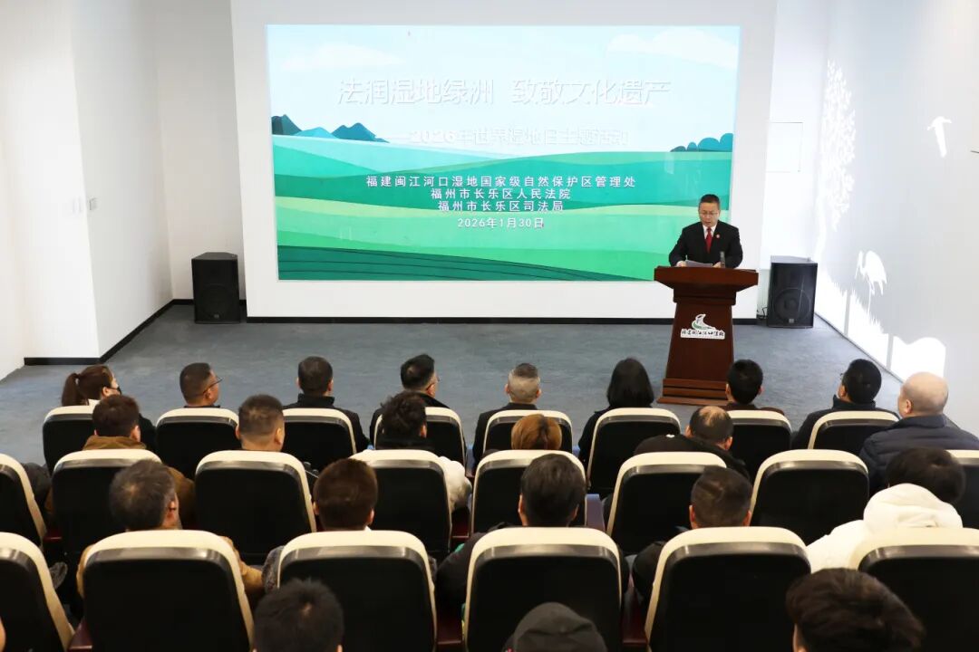 为湿地“撑腰”！闽江河口湿地添“新力量”