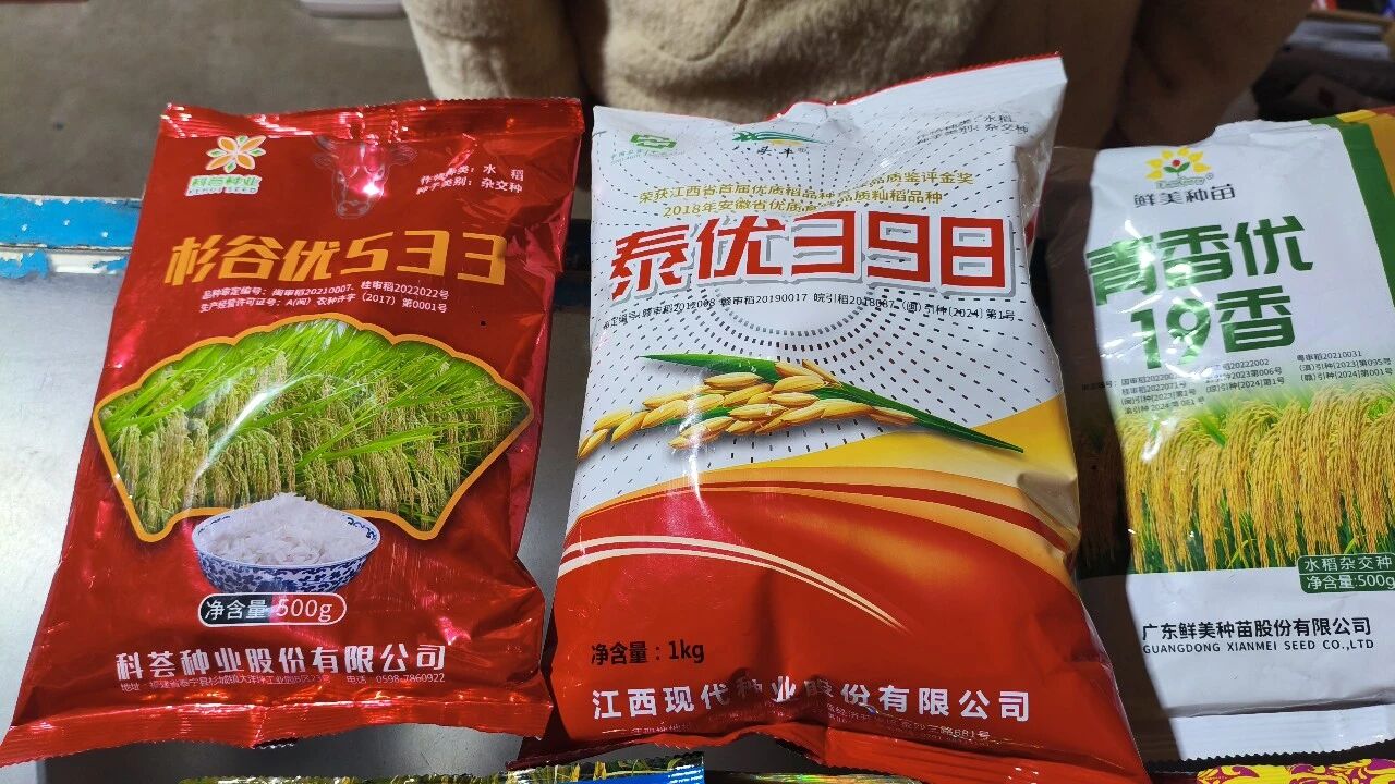 备种不愁！长乐1万公斤水稻种子已就位